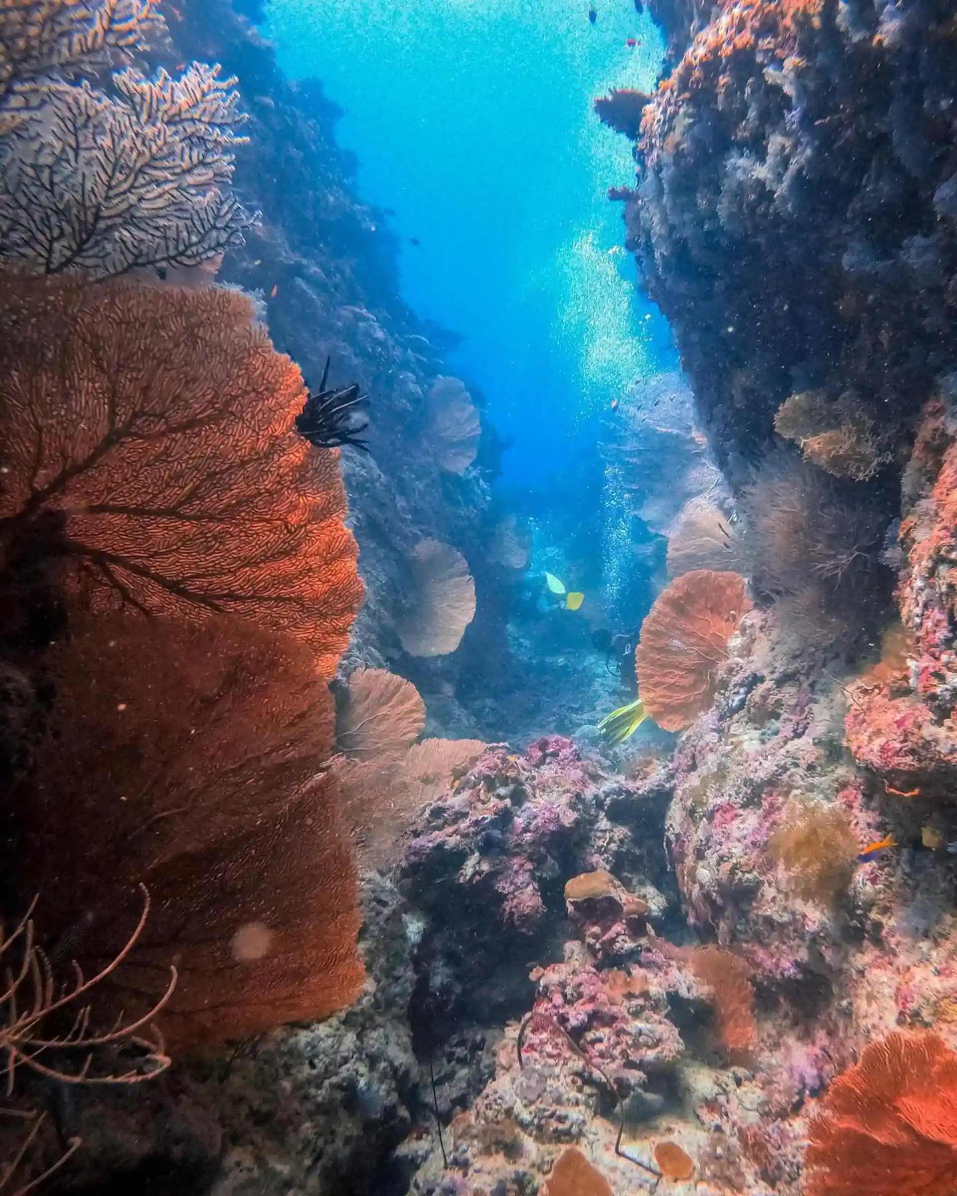 Dive site photo