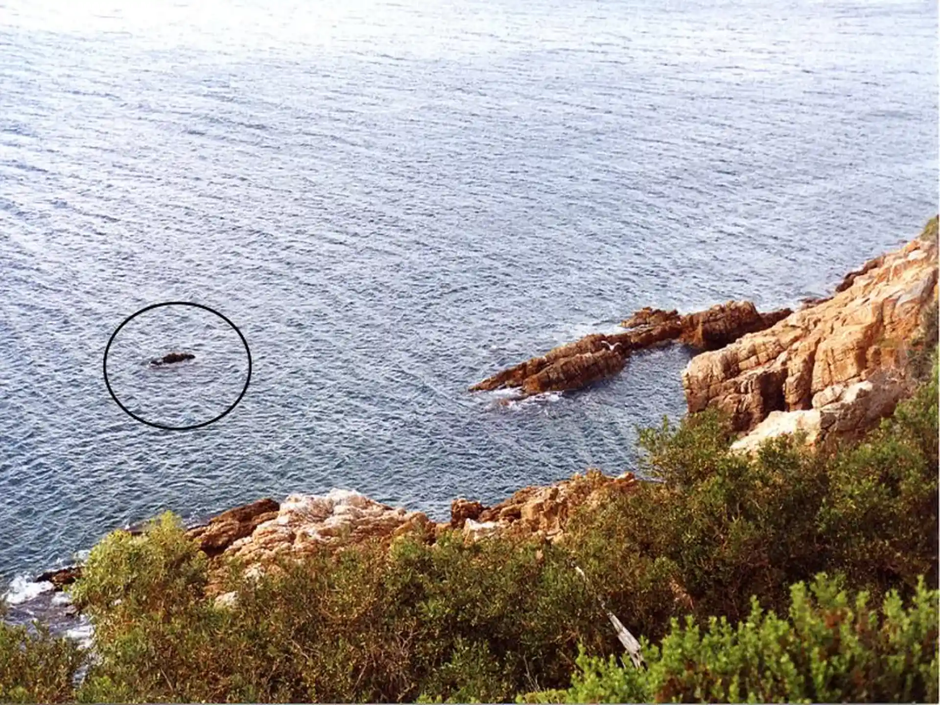 Dive site photo