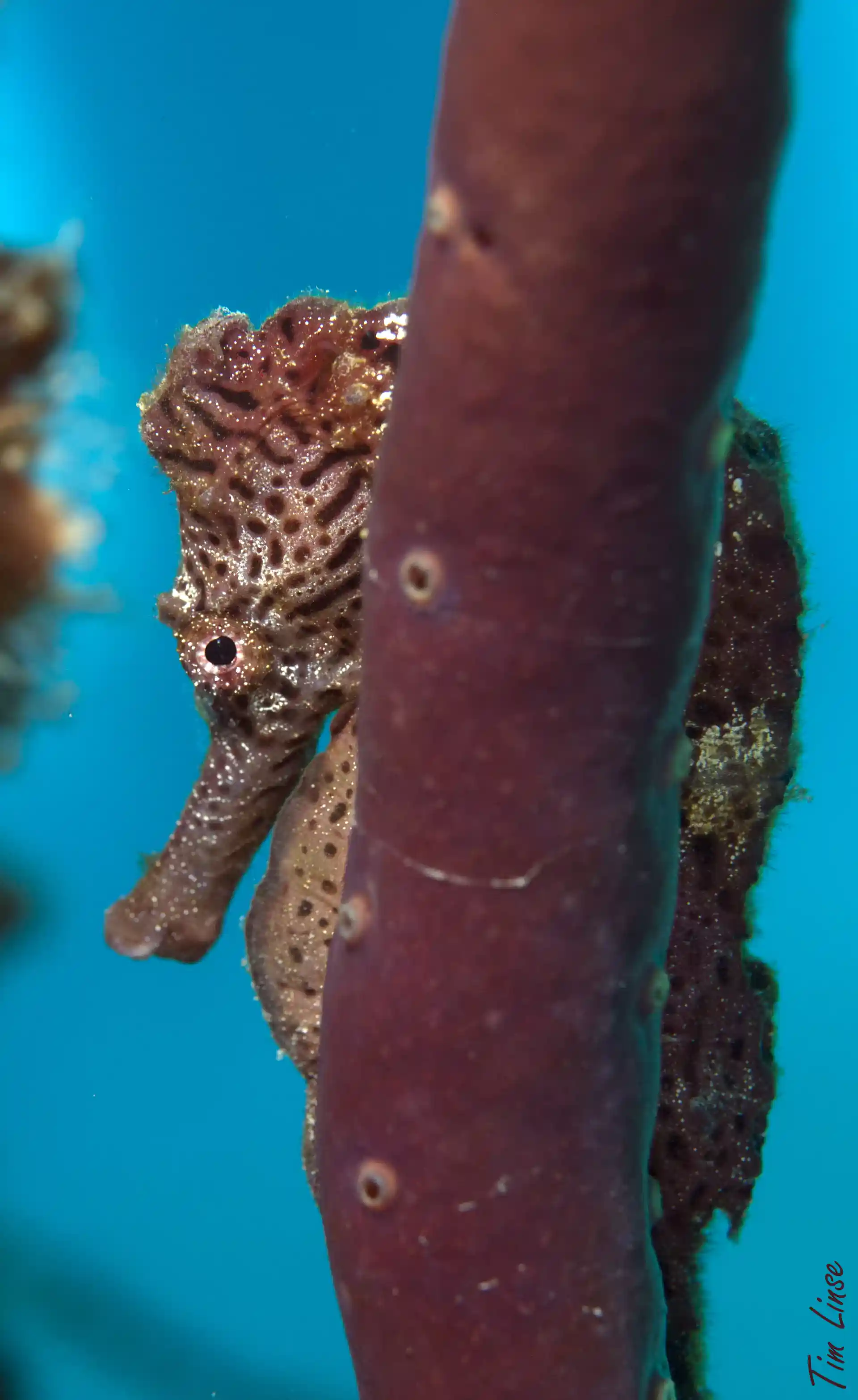 Dive shop photo