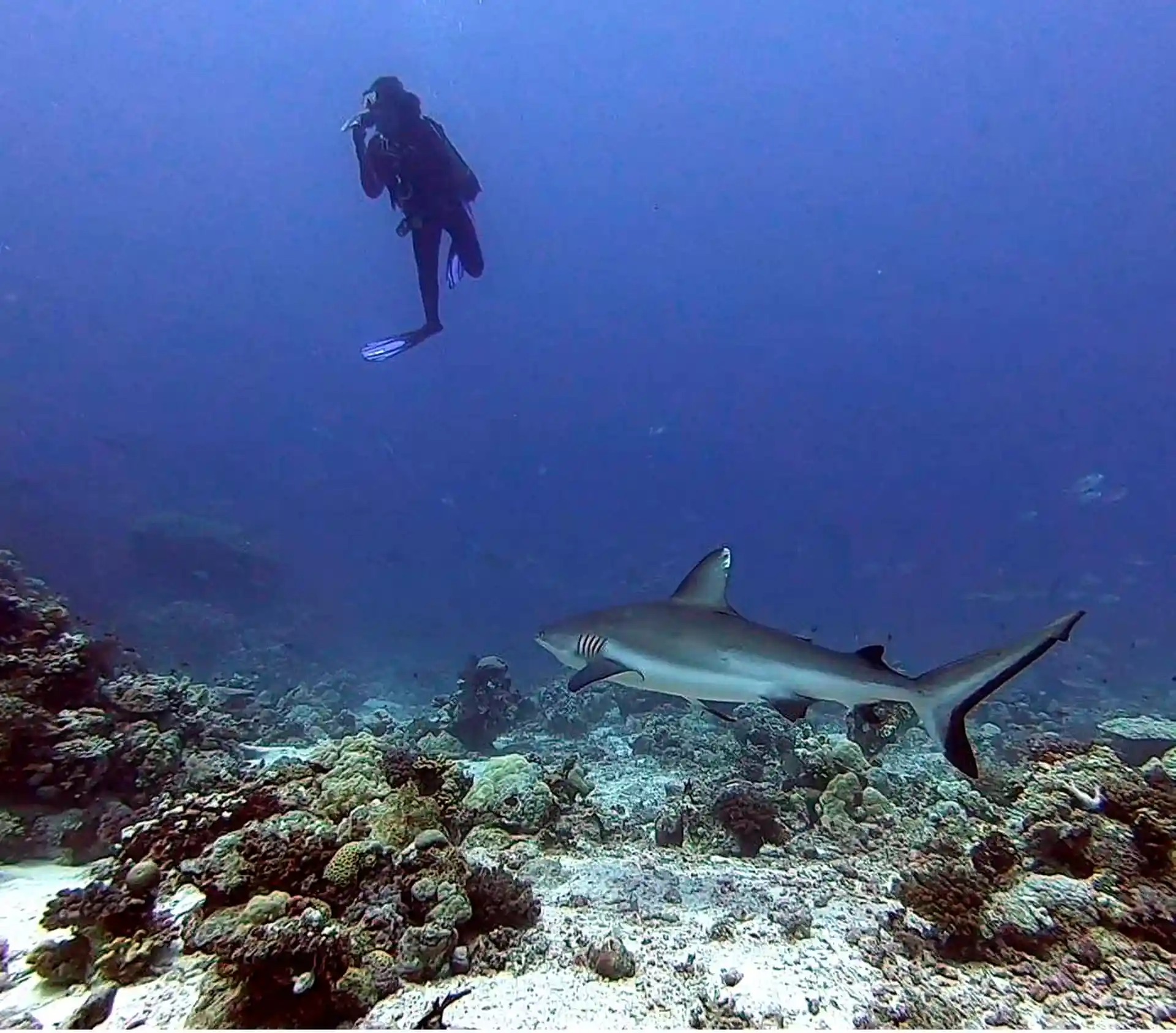 Dive site photo