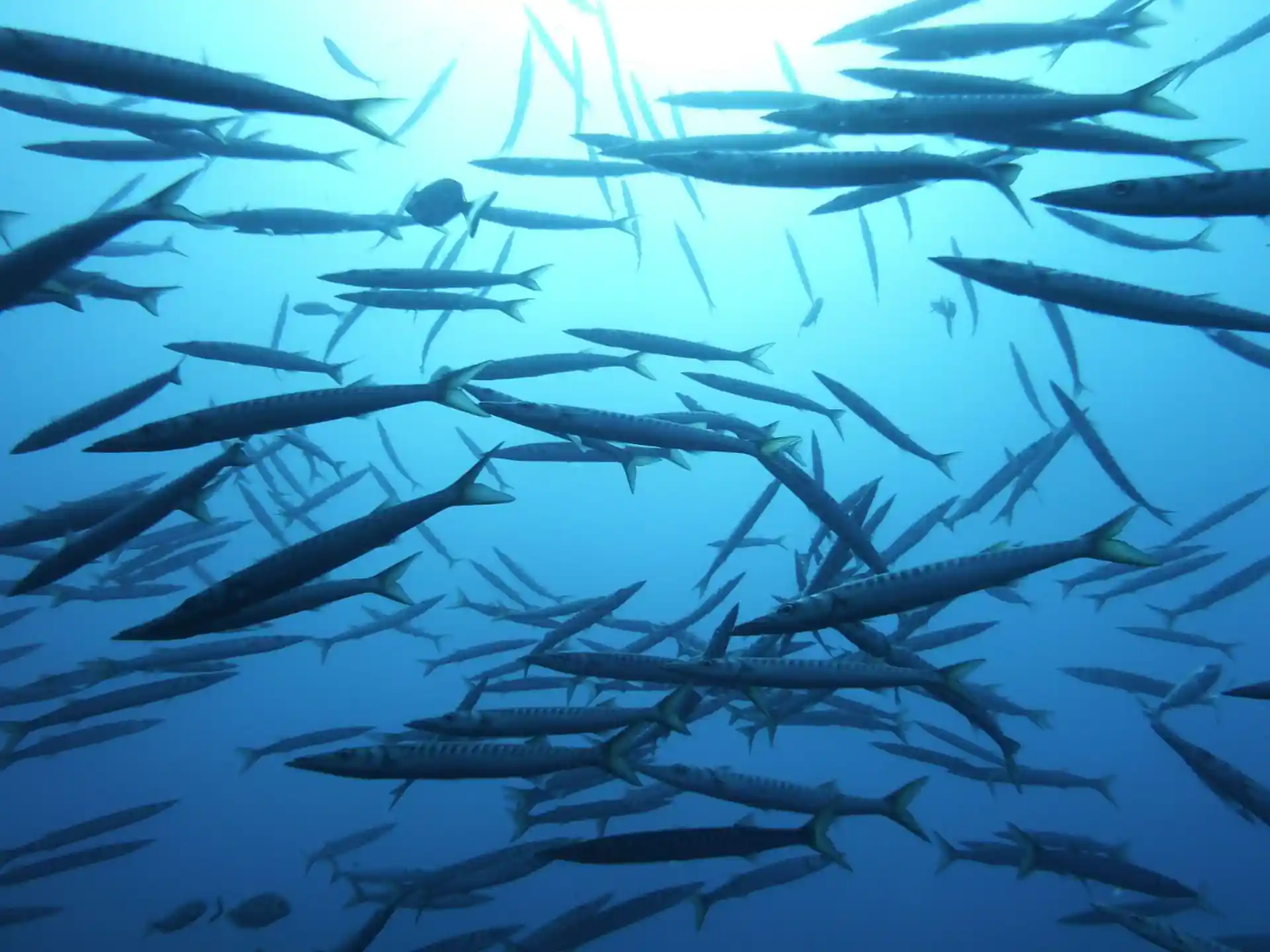 Foto des Tauchplatzes