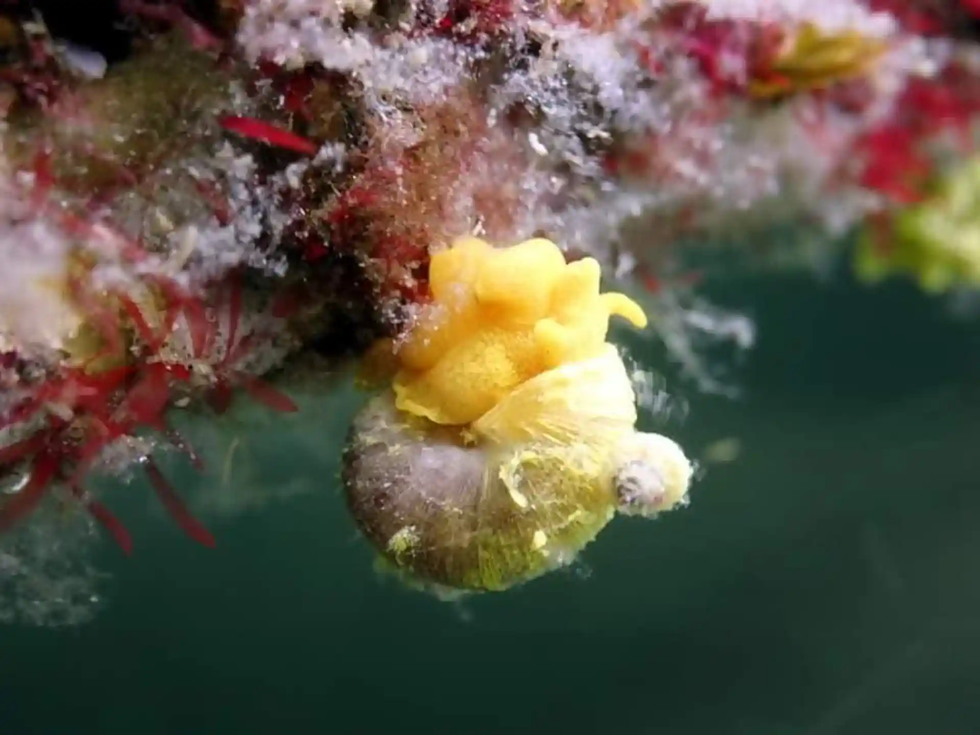 Foto des Tauchplatzes