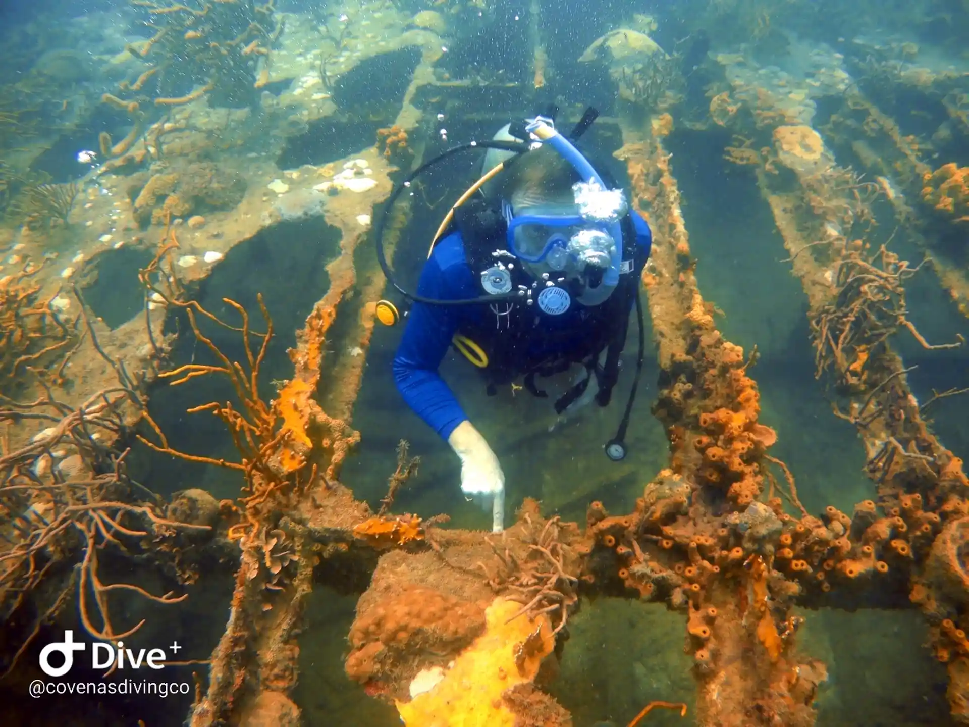 Dive site photo