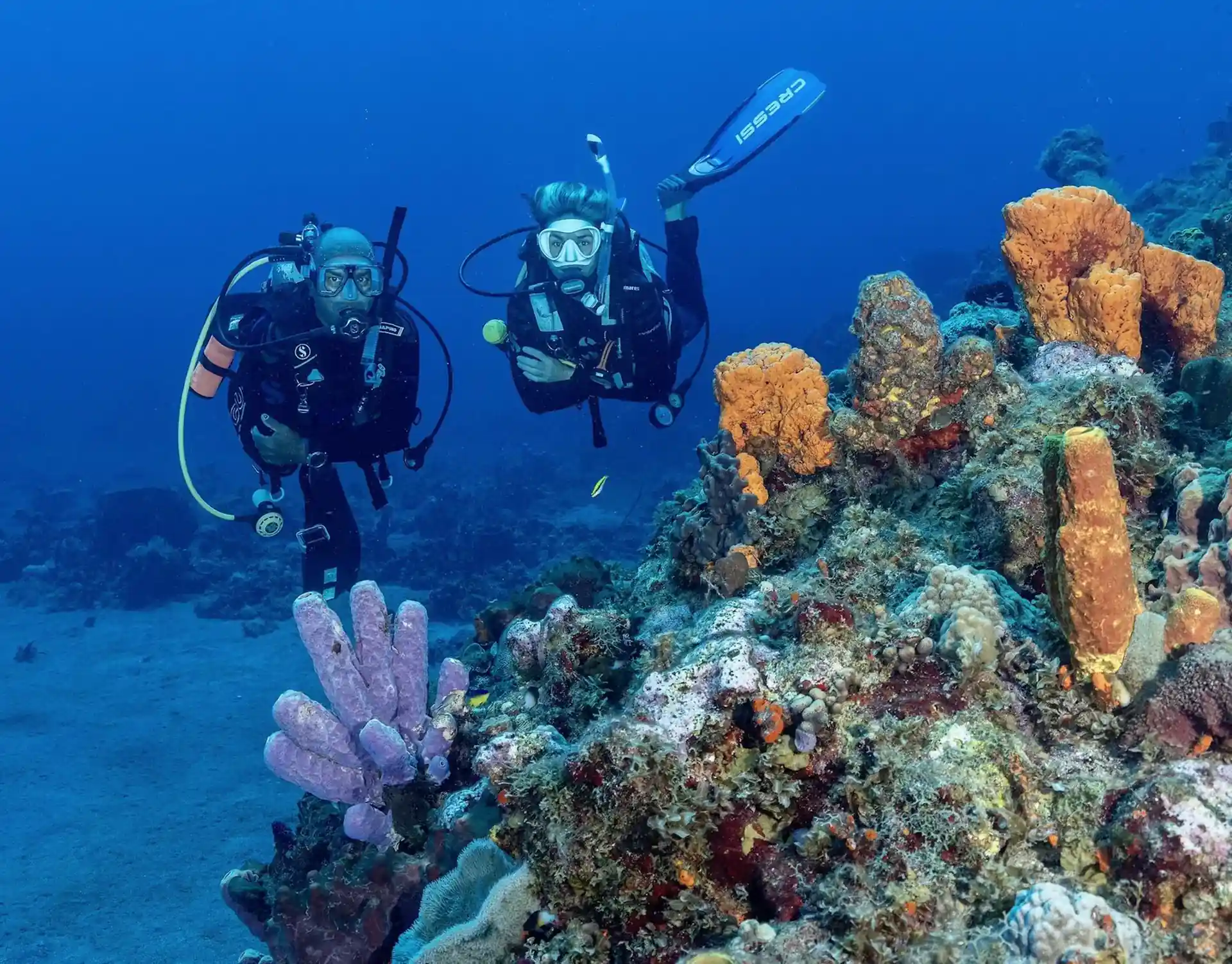 Dive shop photo