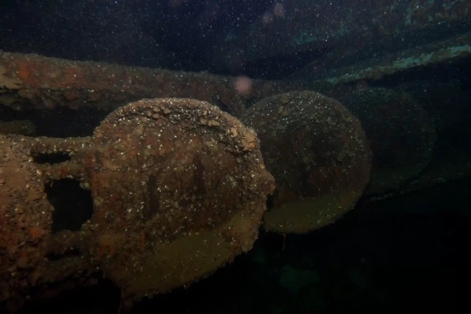 다이빙 포인트 사진