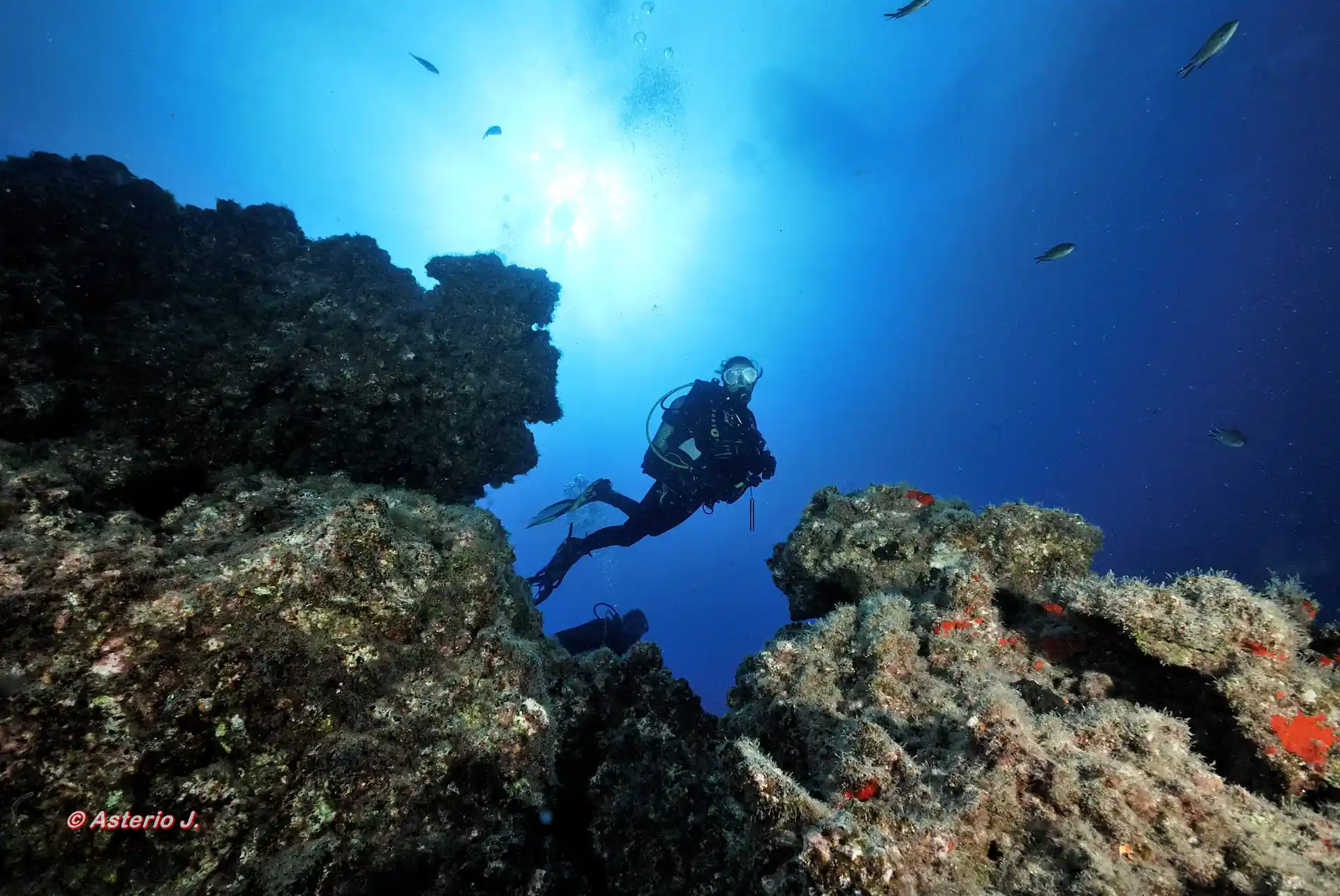 Foto de la actividad