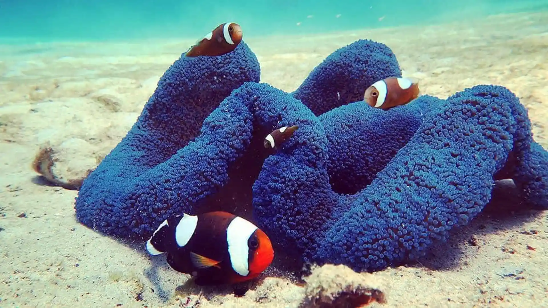 Foto des Tauchplatzes