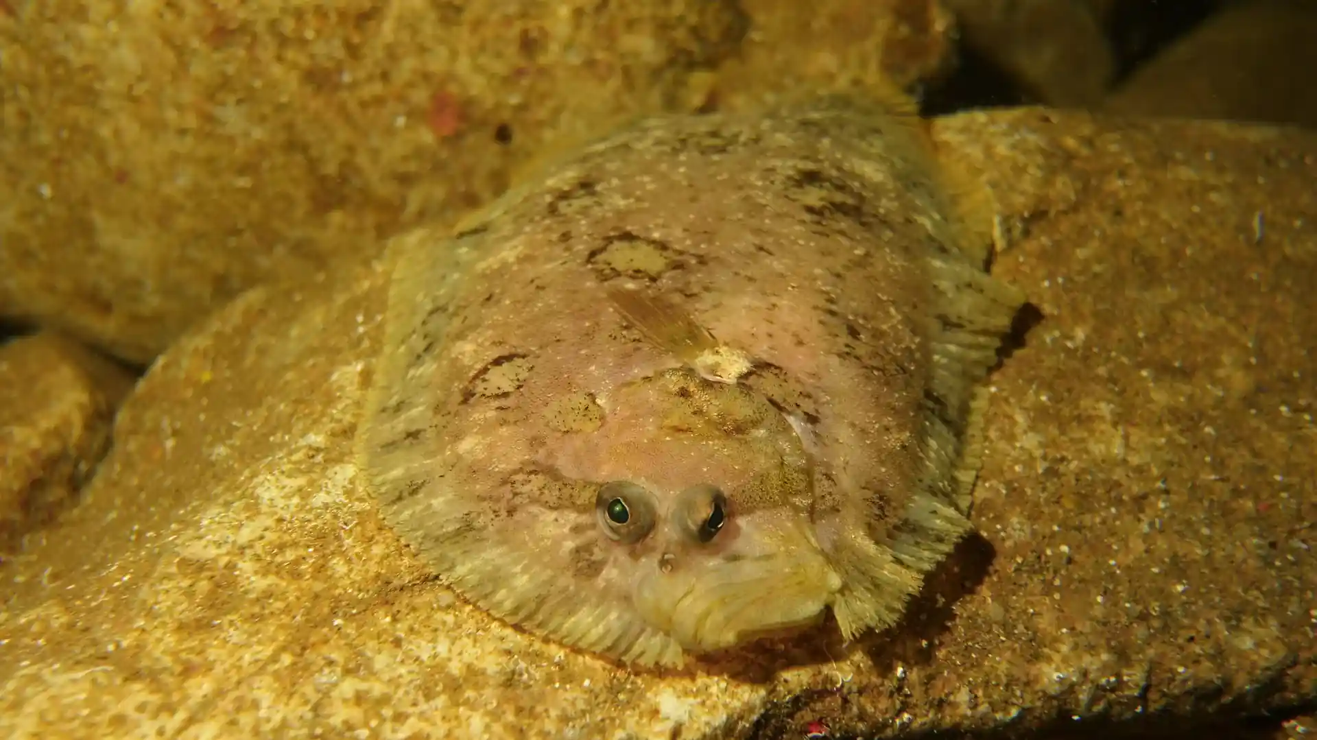 Dive shop photo