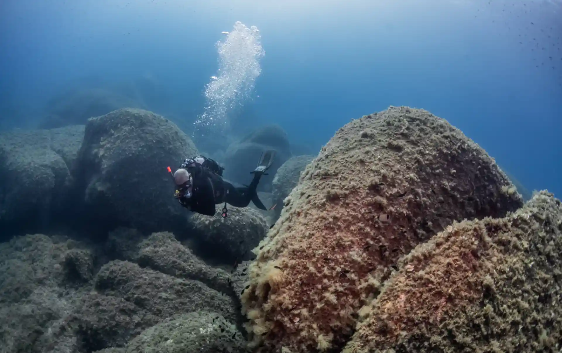 Dive site photo