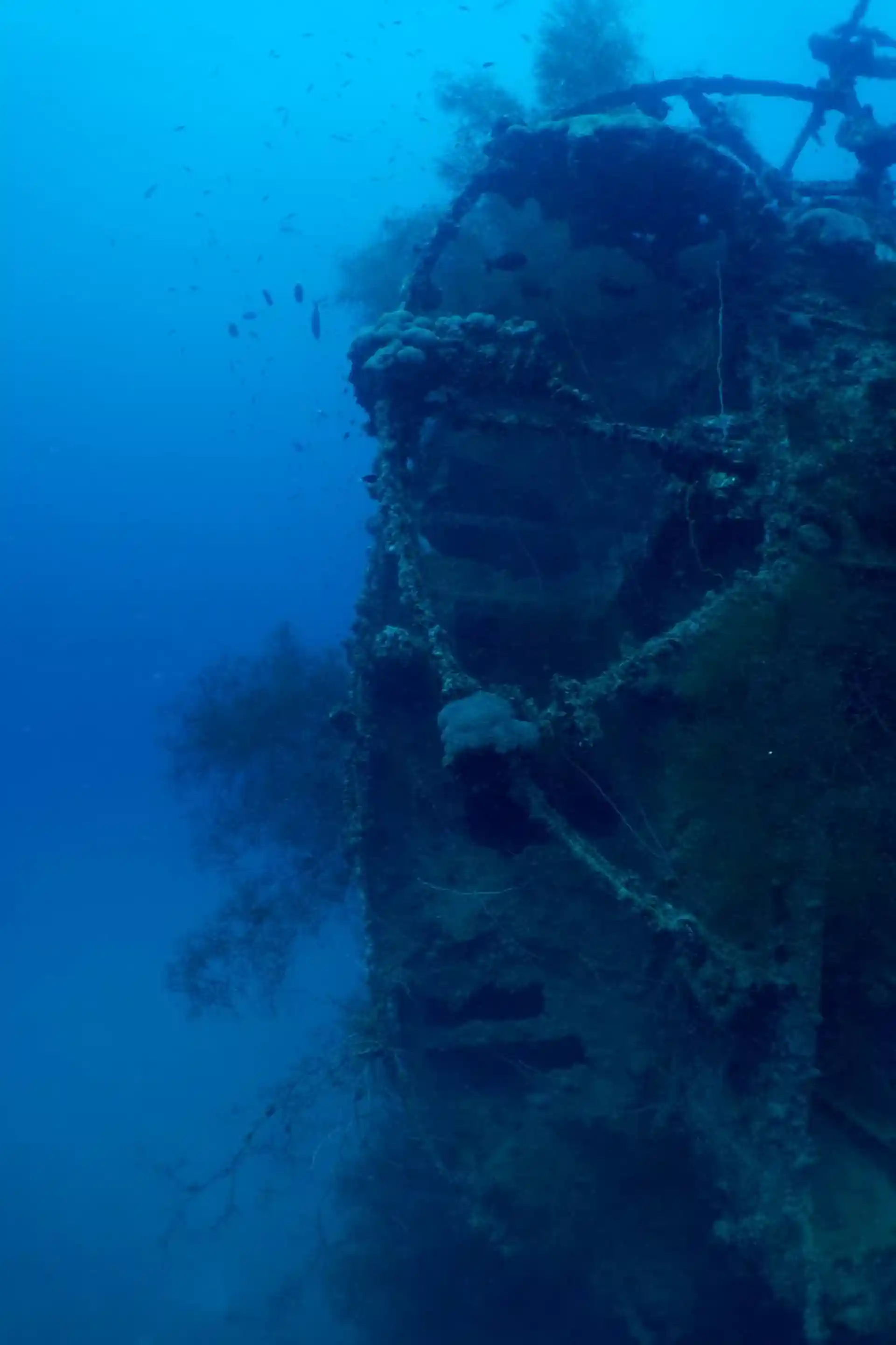 Dive site photo