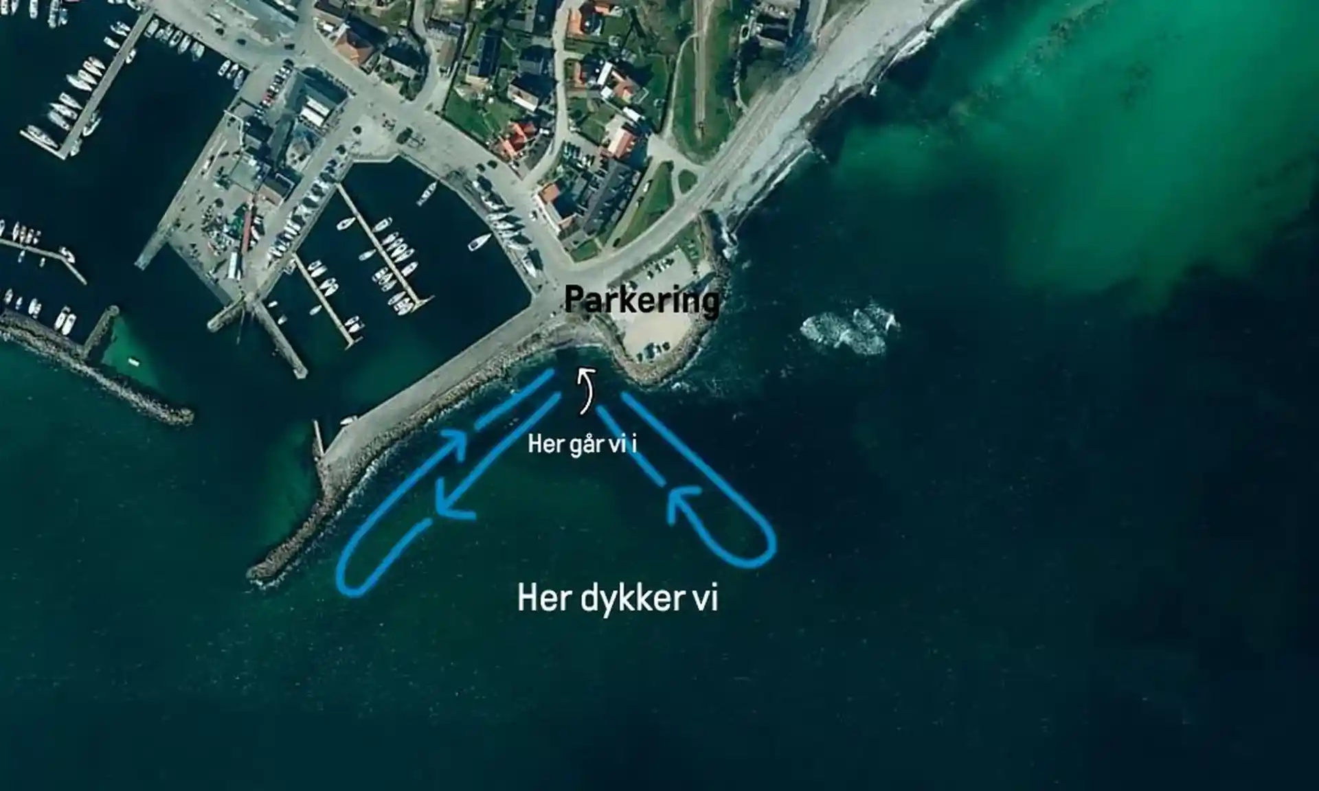 Dive site photo