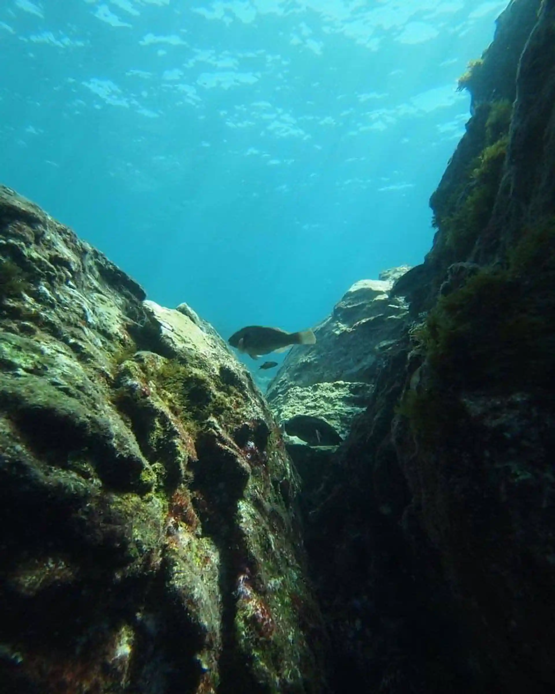 다이빙 포인트 사진