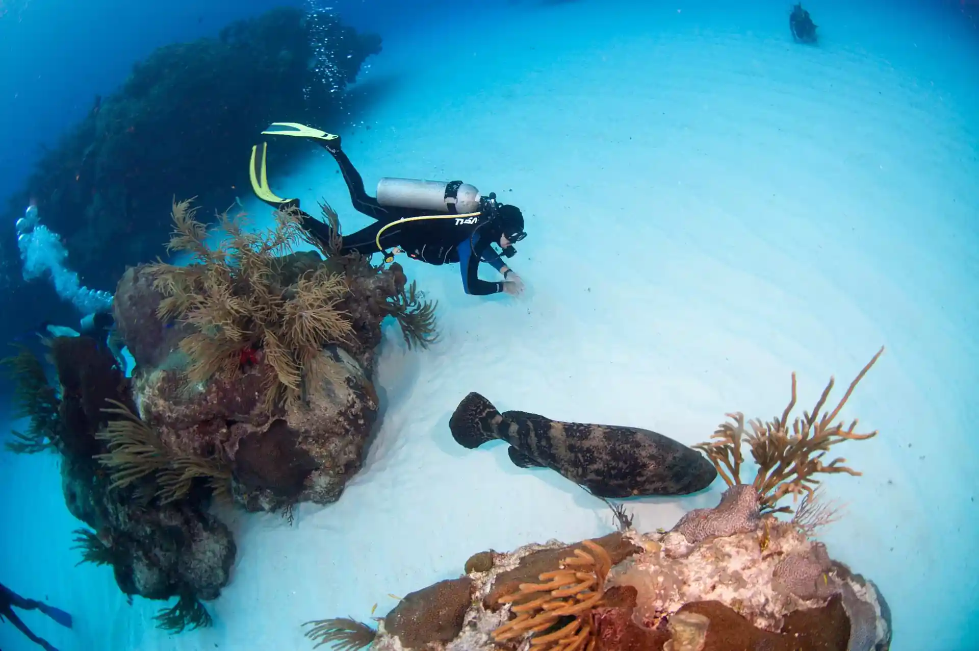 Dive site photo