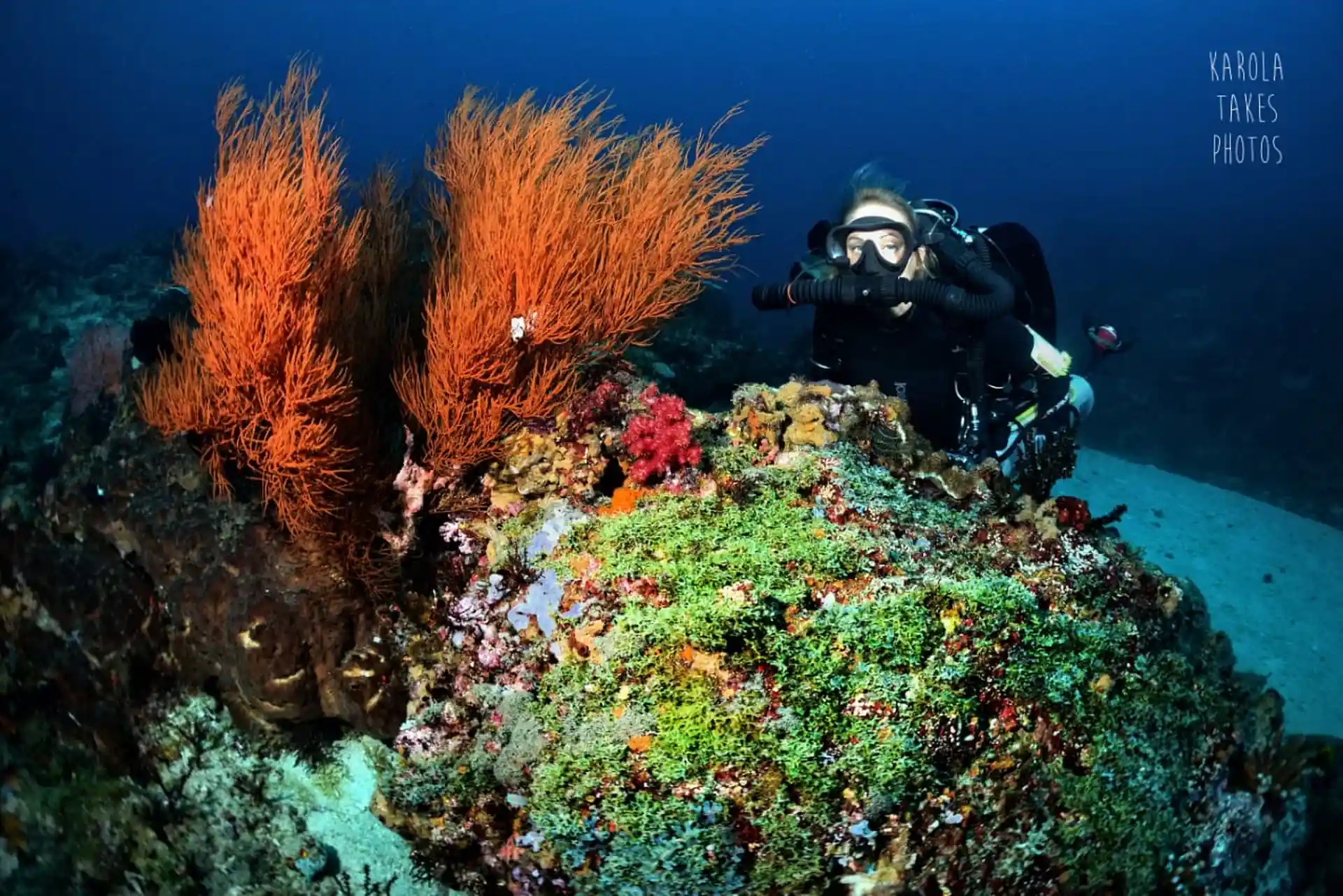 Dive site photo