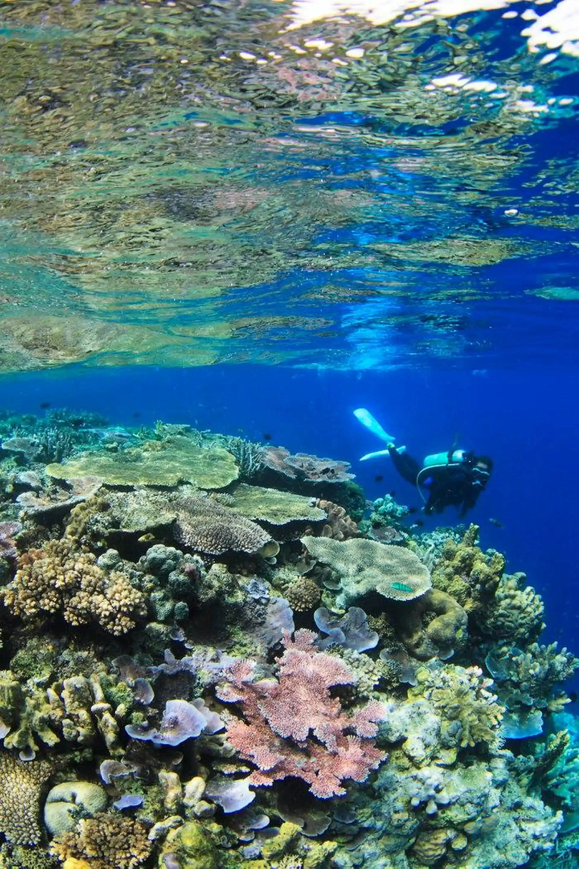 Photo du site de plongée