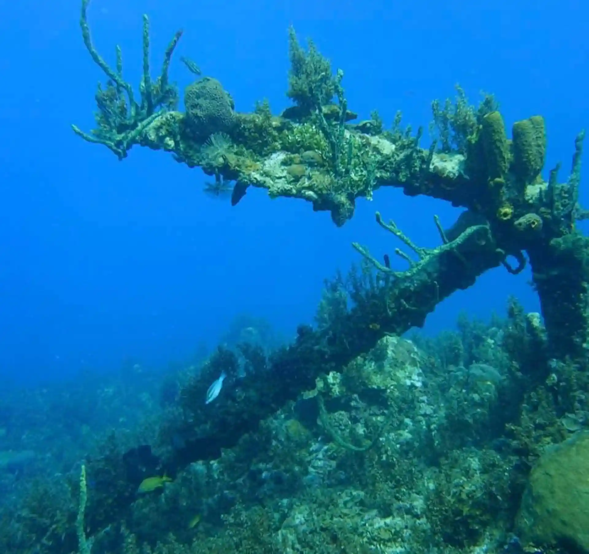 Dive site photo