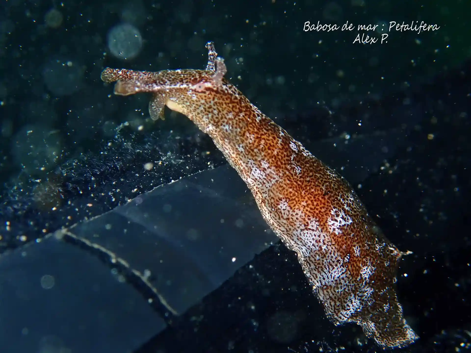 Foto de la actividad