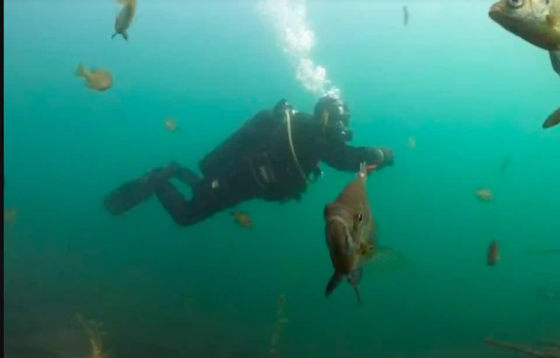 Dive shop photo