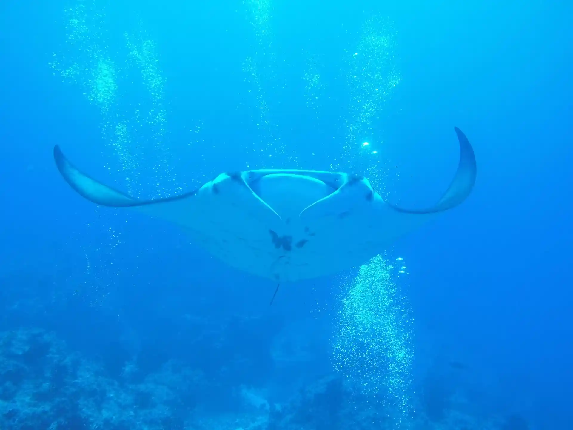 Dive shop photo
