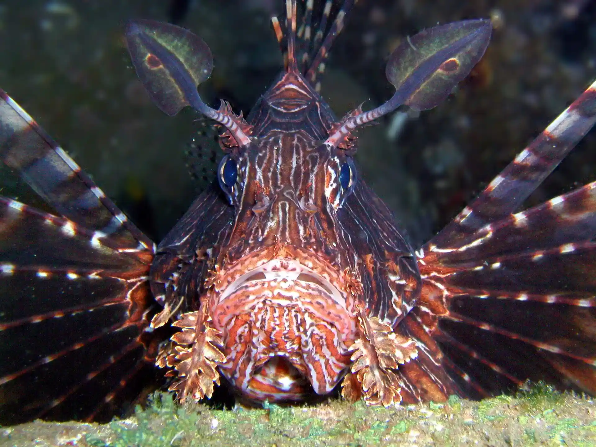 Dive site photo