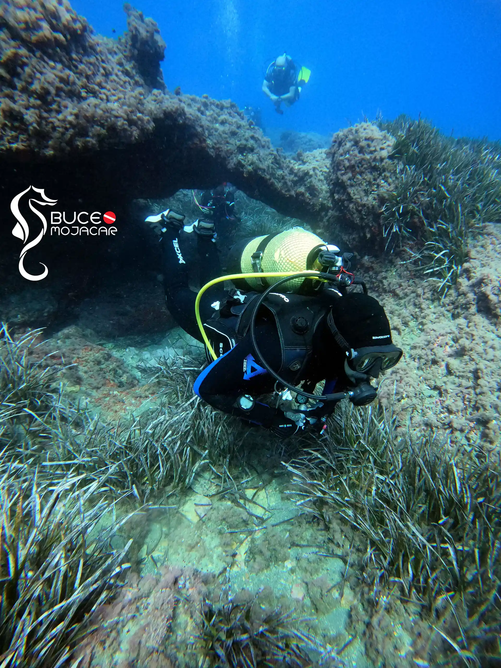 Nuestra ubicación privilegiada ofrece inmersiones espectaculares adaptadas a todos los niveles