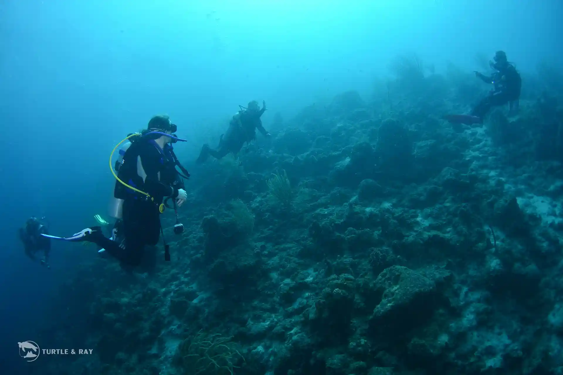Dive shop photo