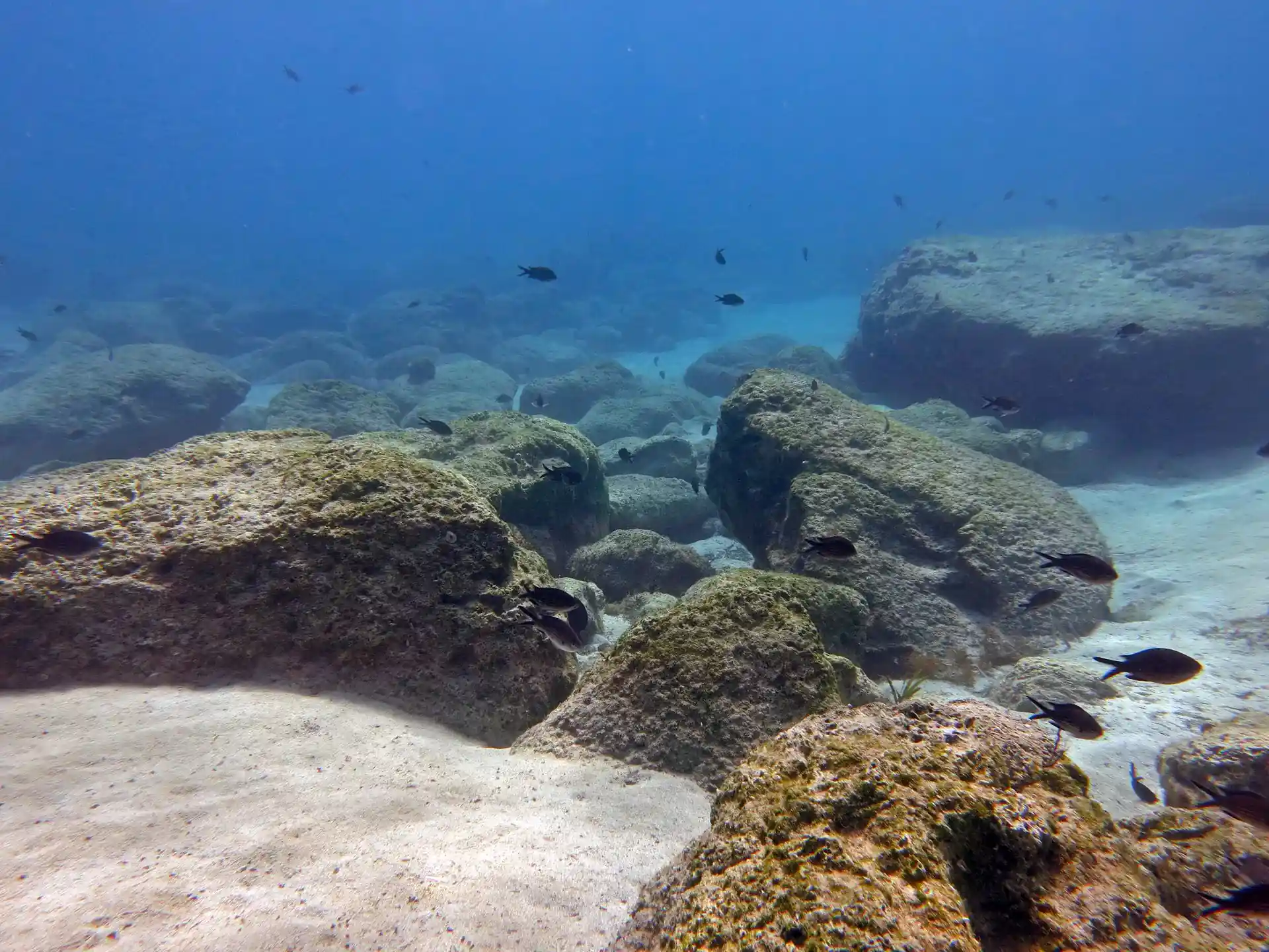 다이빙 포인트 사진