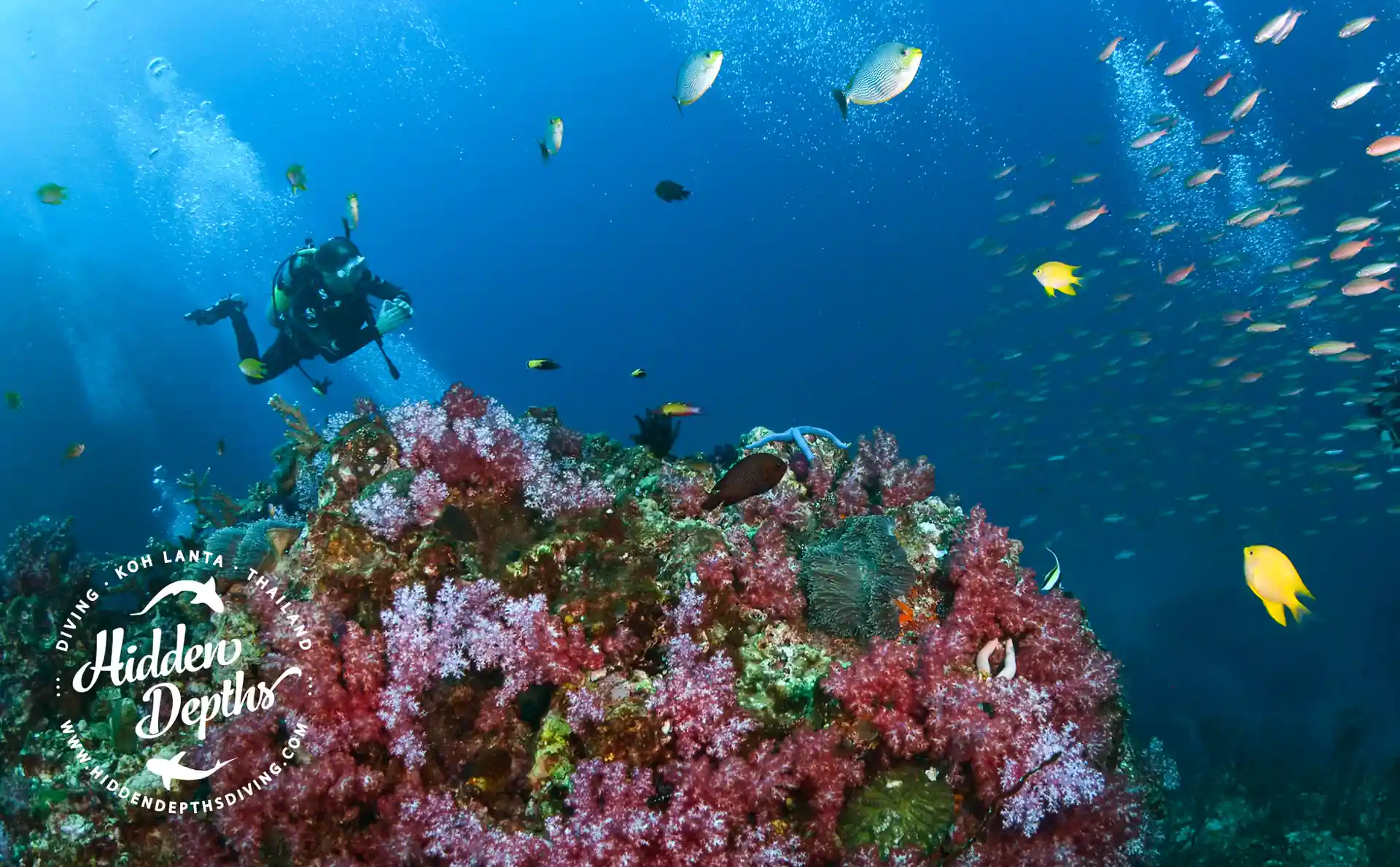 Photo de l'activité