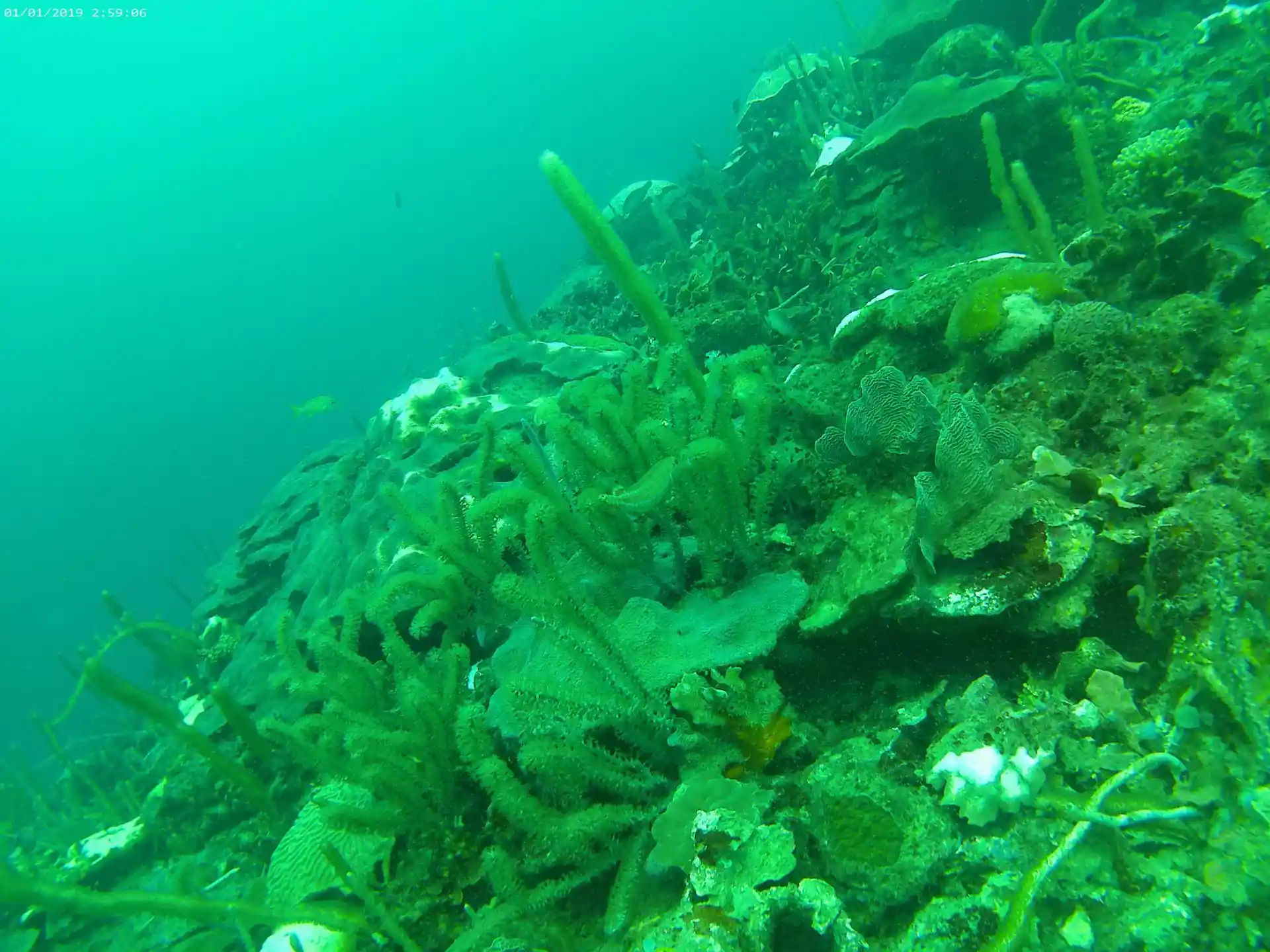 Dive site photo