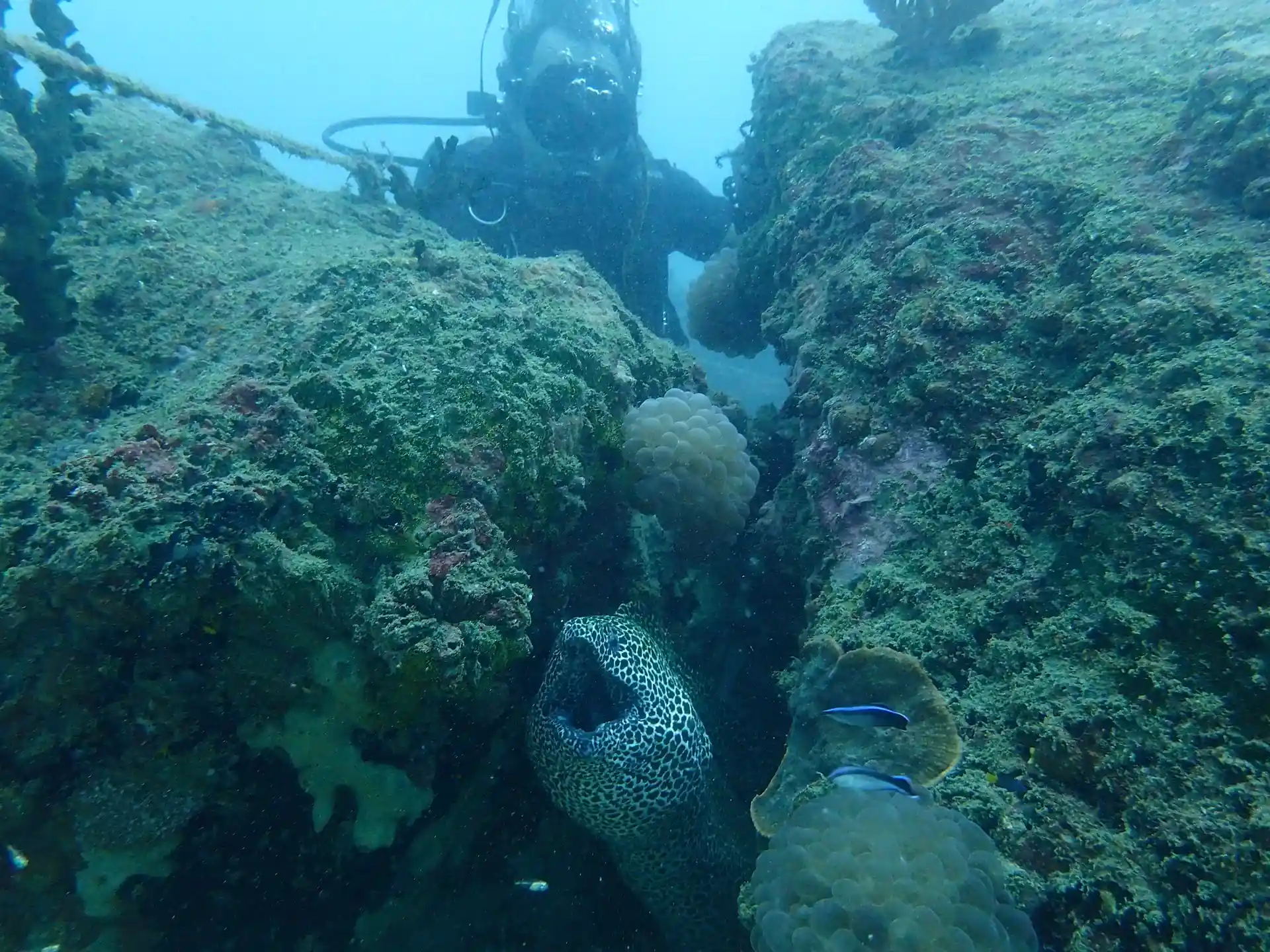 Photo du site de plongée