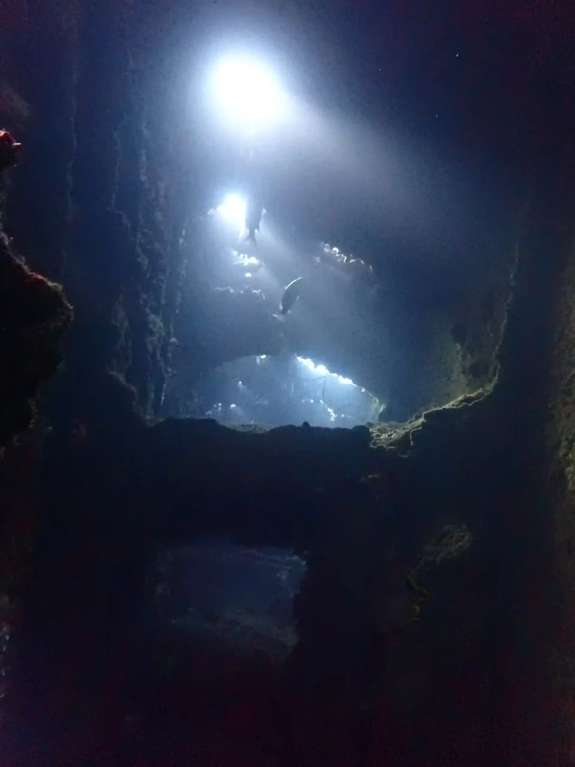 Photo du site de plongée