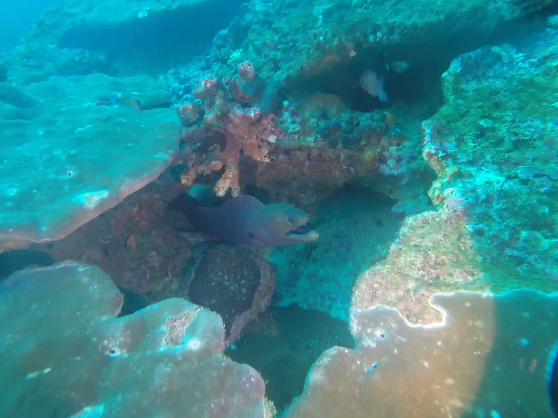 다이빙 포인트 사진