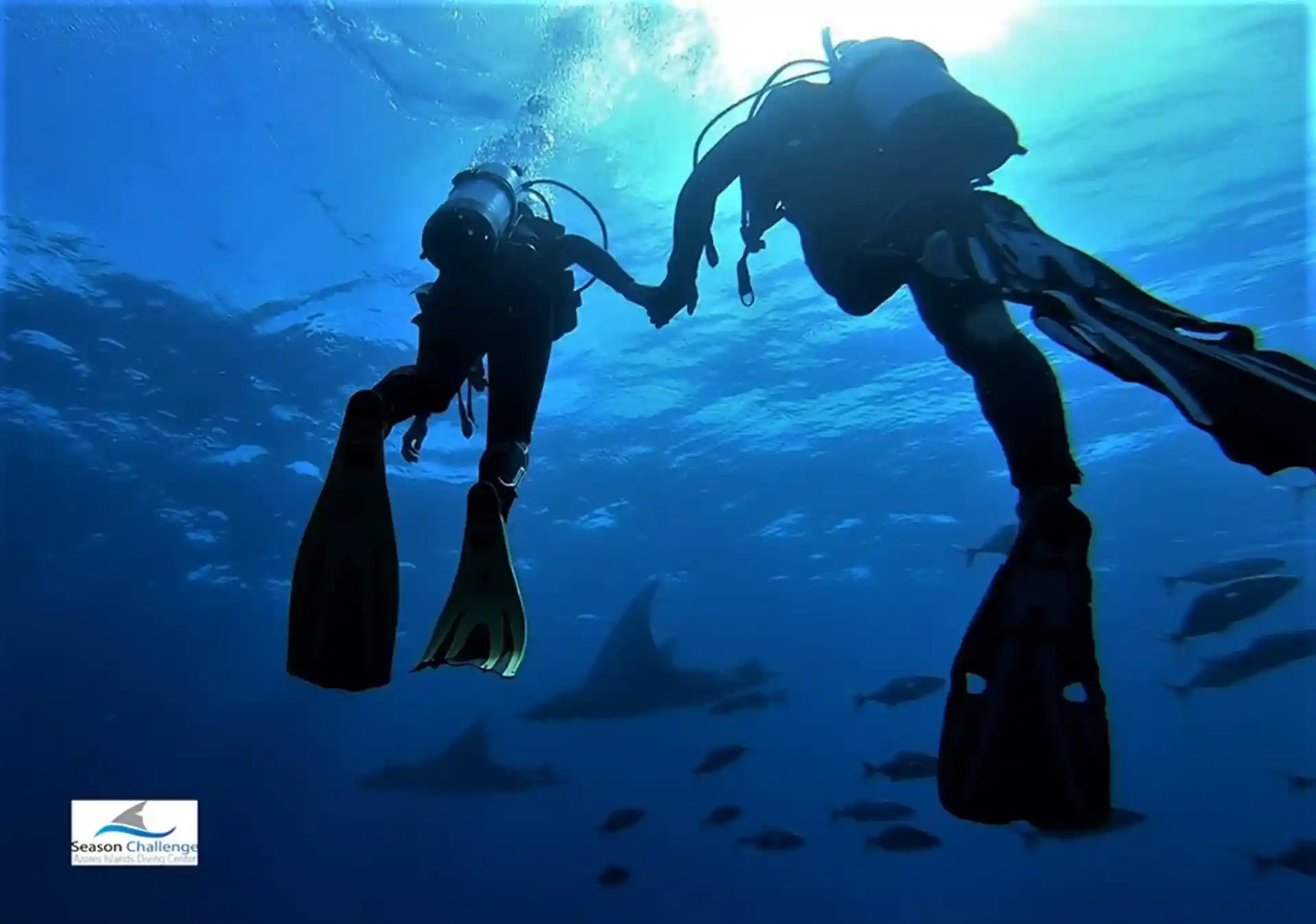 Dive site photo