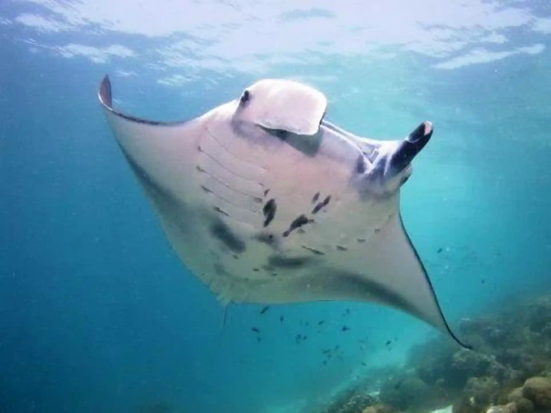 Photo de l'activité