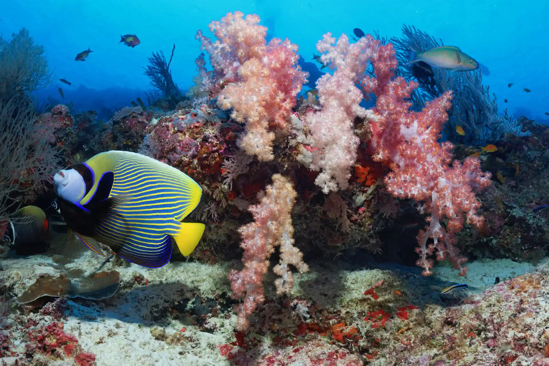 Dive shop photo