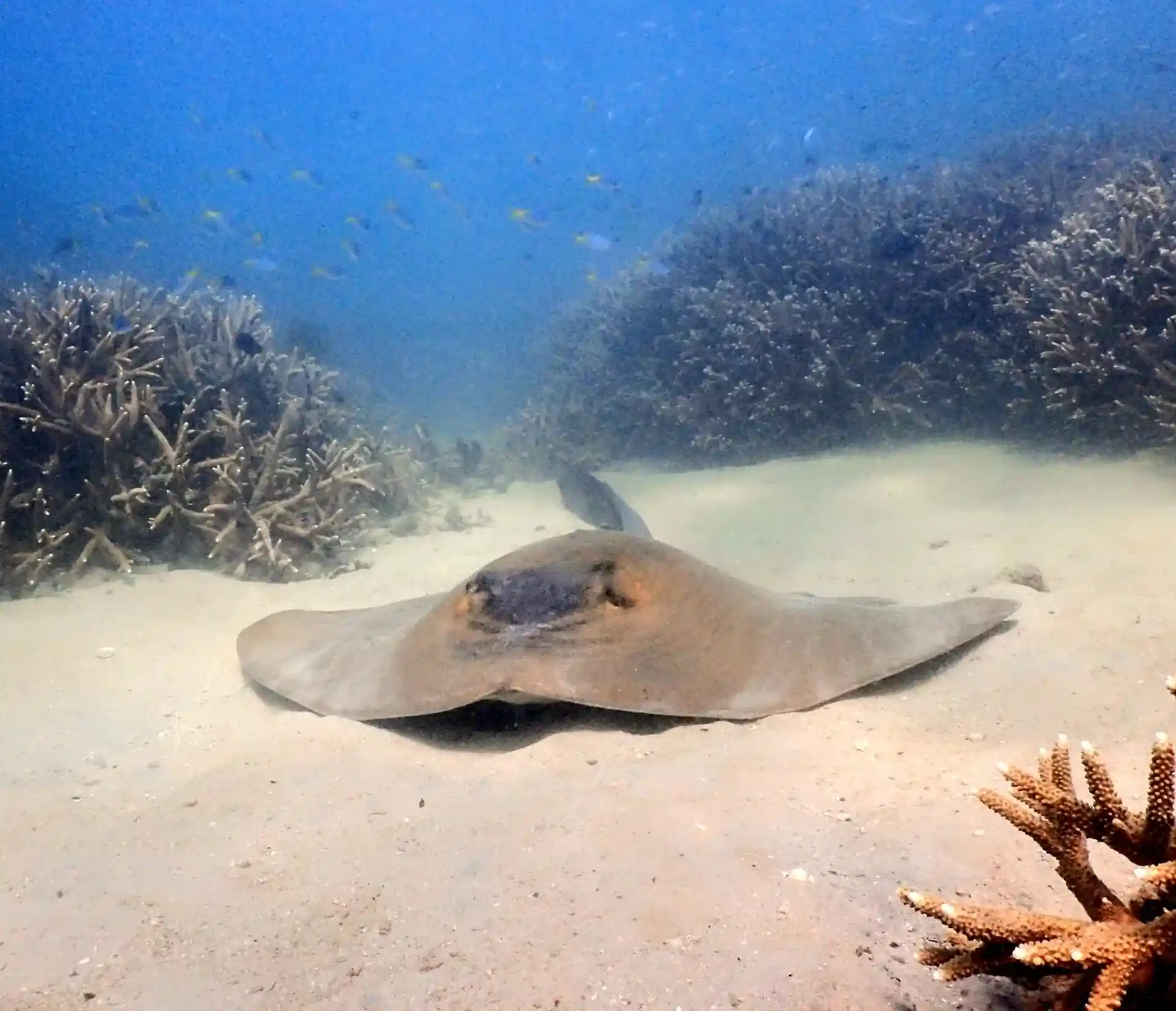 Dive site photo