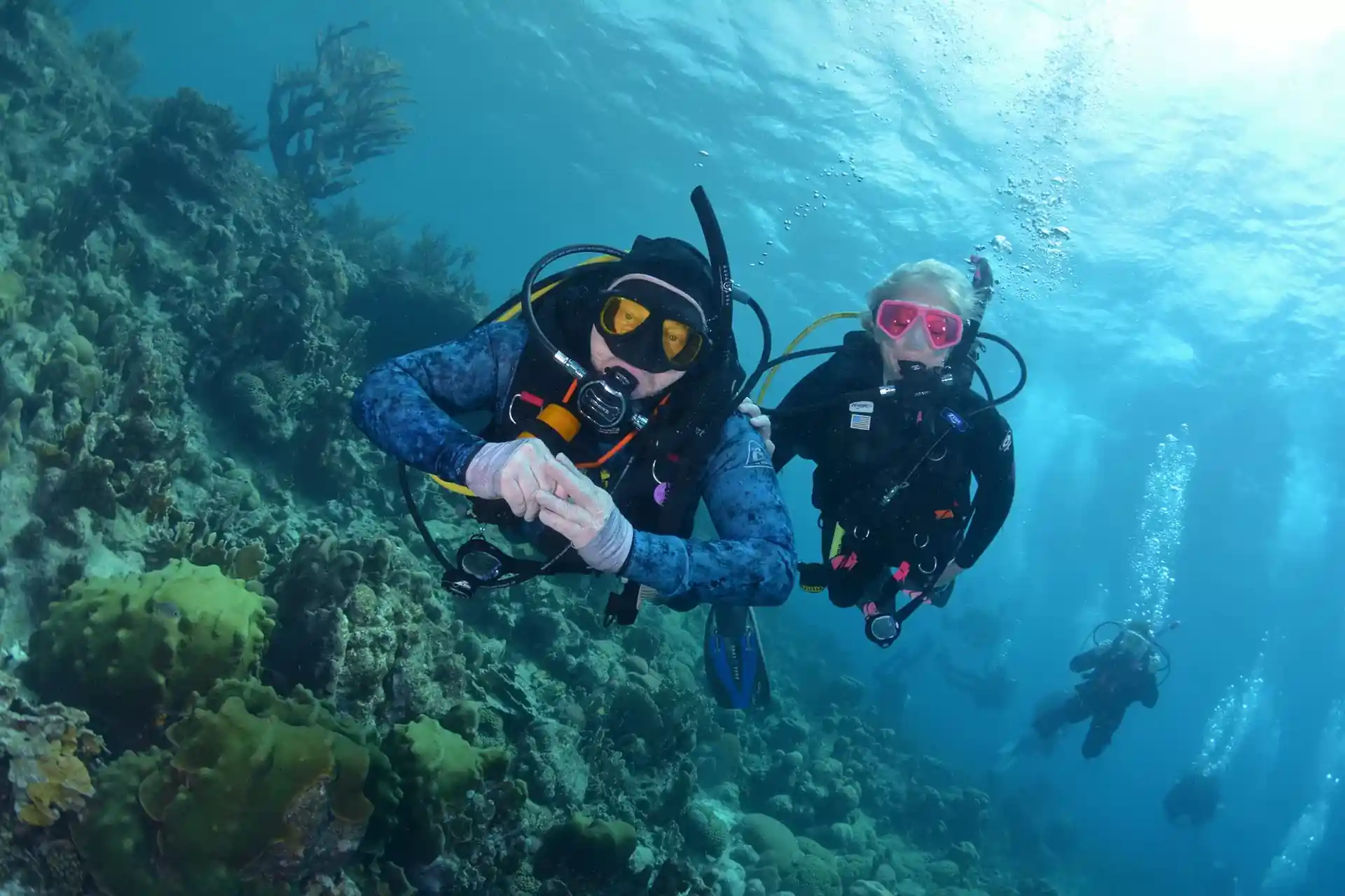 Dive shop photo