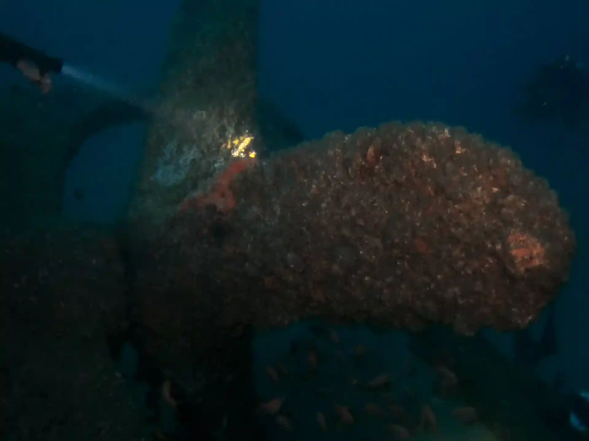 Dive site photo