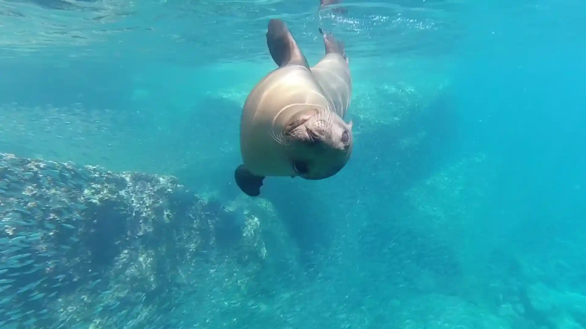 다이빙 포인트 사진