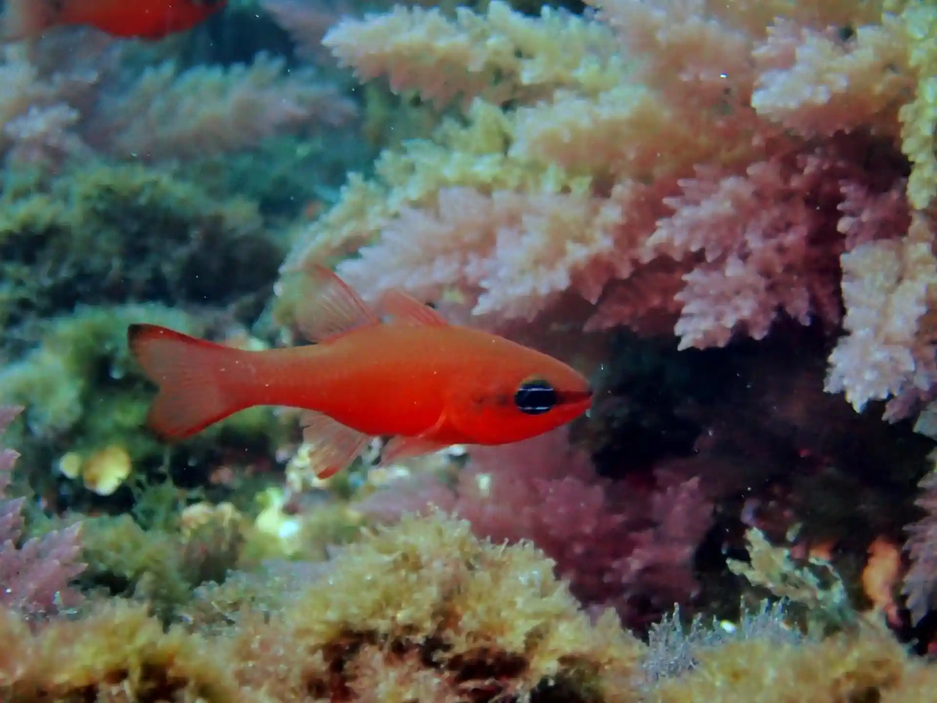 다이빙 포인트 사진