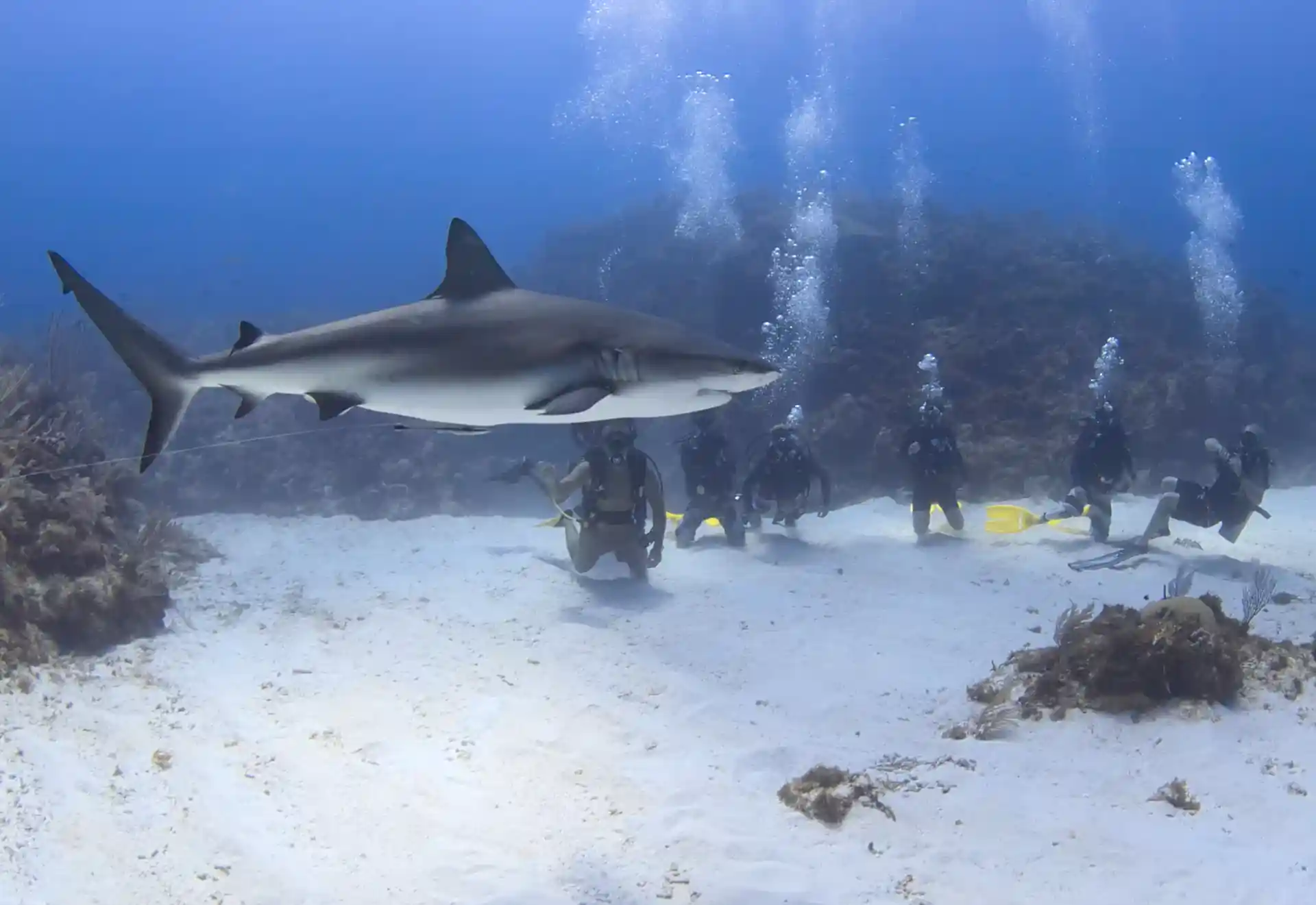 ダイビングショップの写真