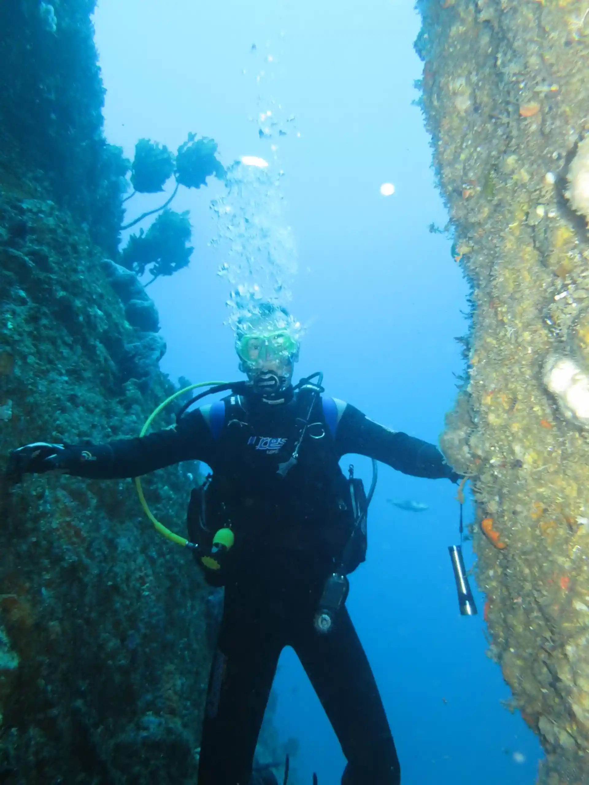 다이빙 포인트 사진