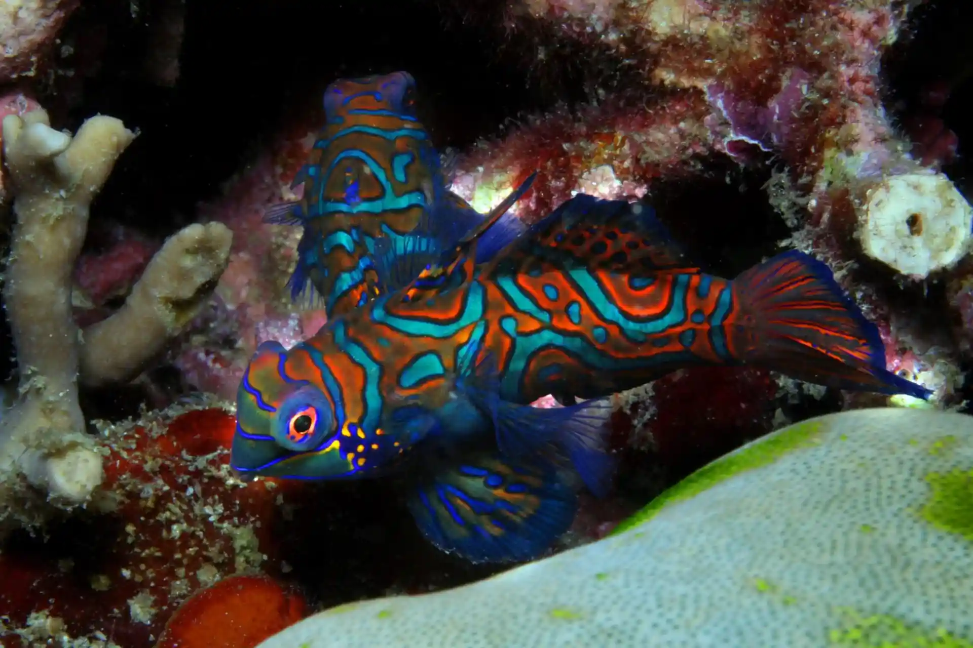 Photo du site de plongée