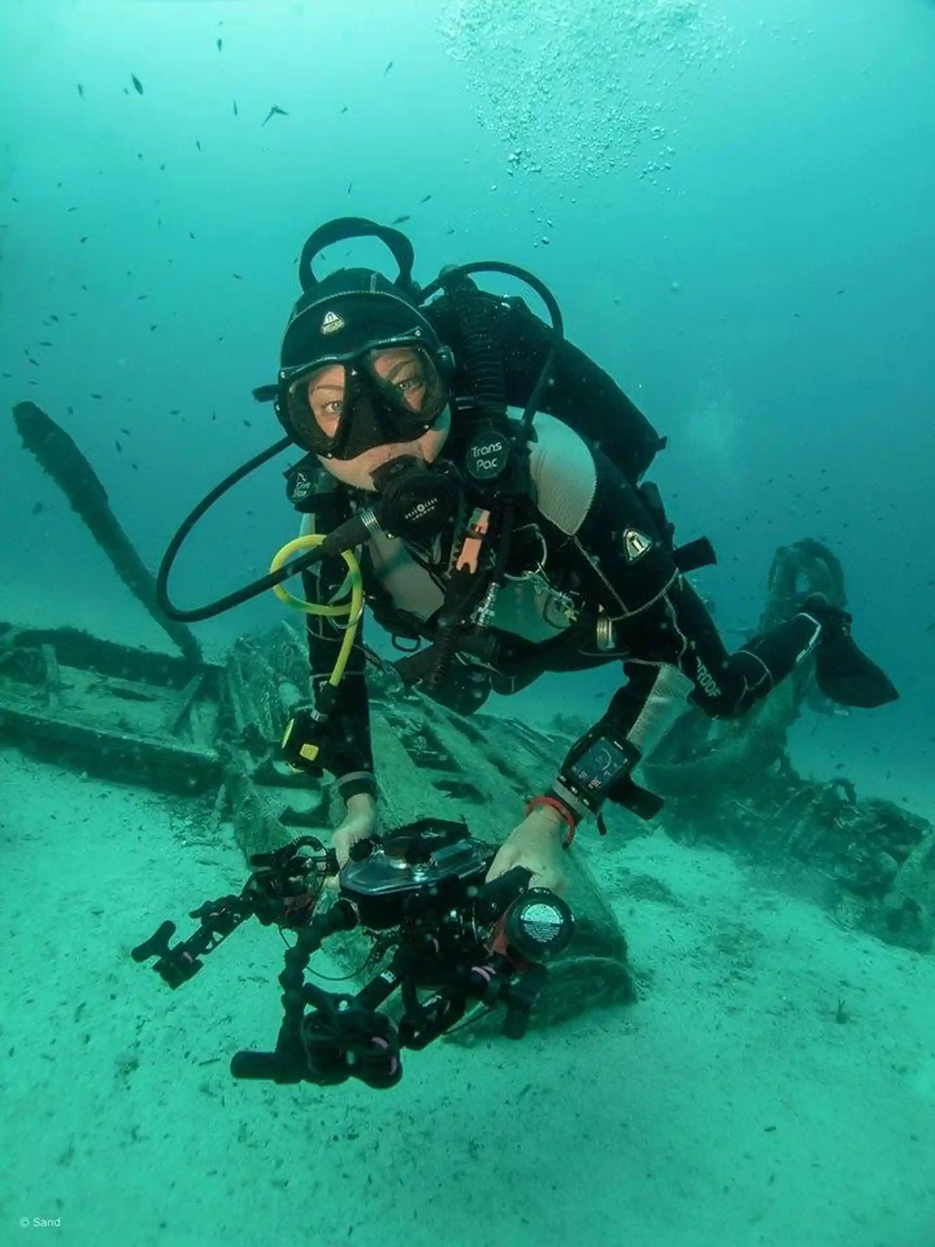 Explore The WW2 Bristol Beaufighter Airplane