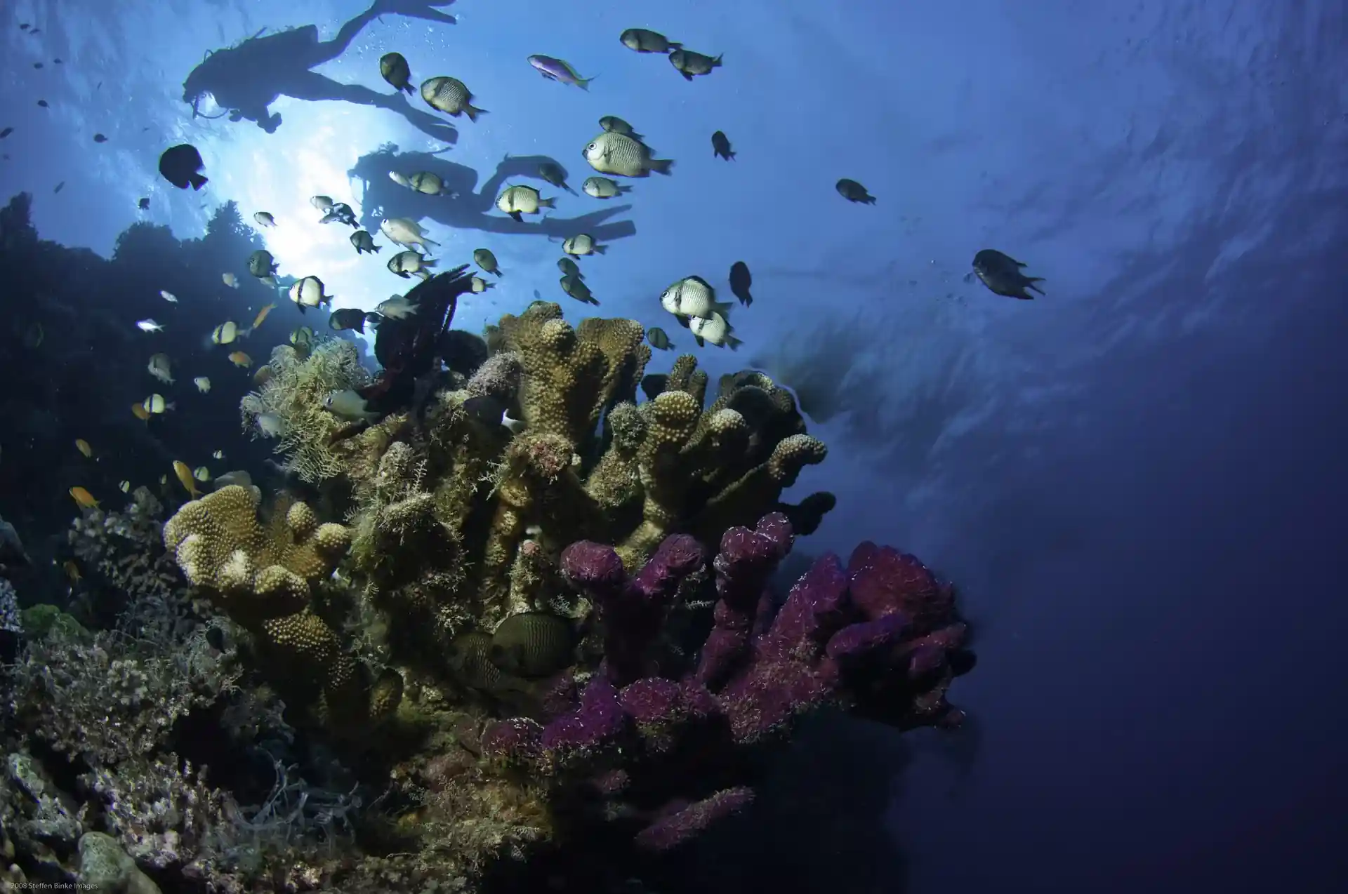 Dive site photo