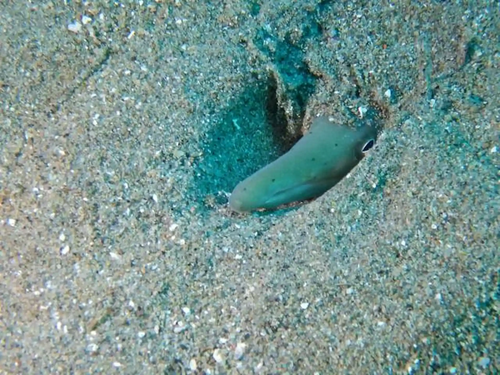 다이빙 포인트 사진