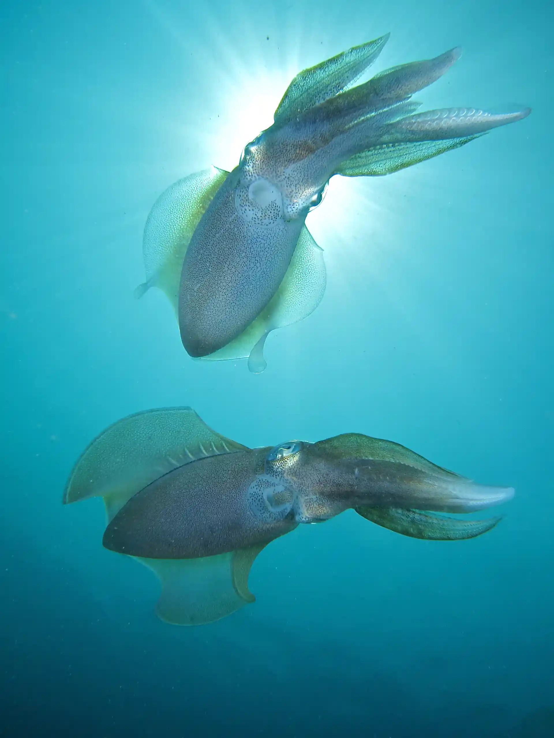 Activity photo