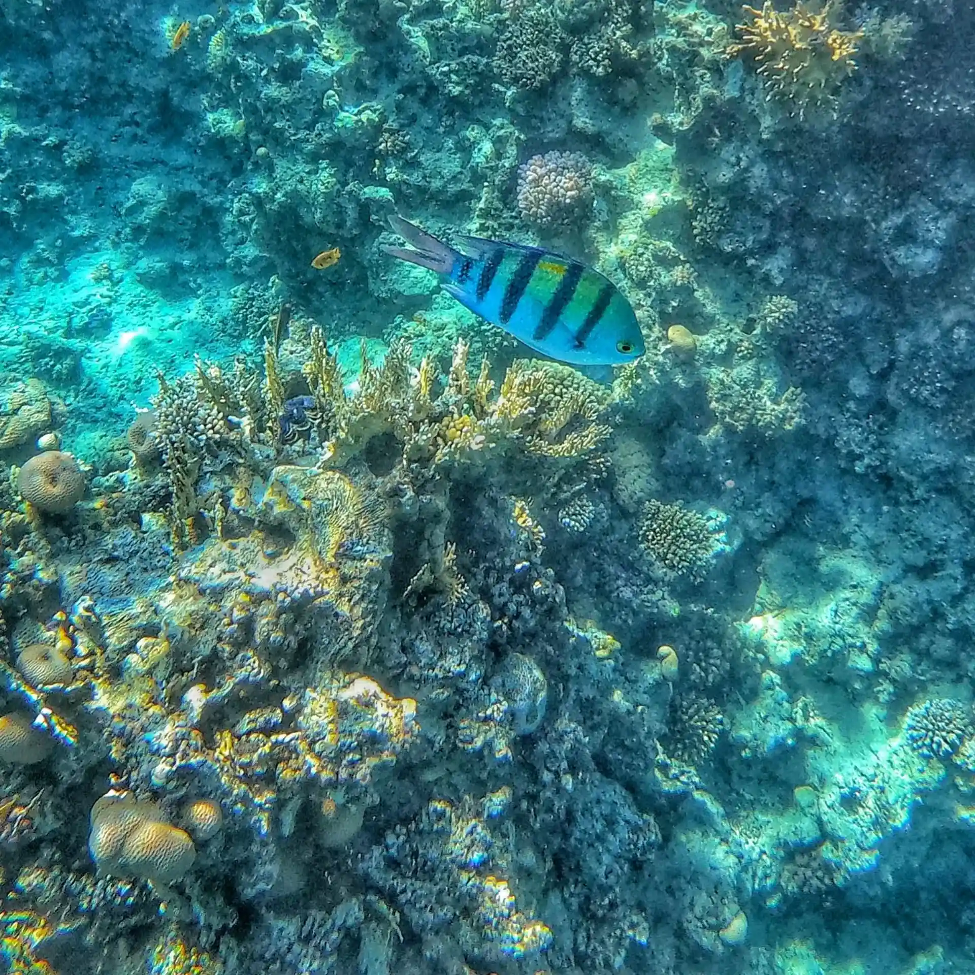 Dive site photo