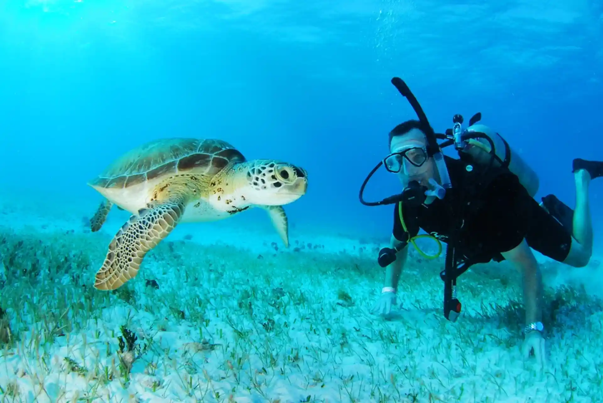 Photo de l'activité