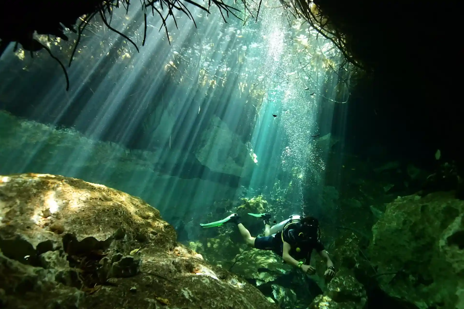 Dive site photo